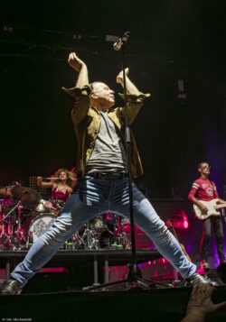 Simple Minds.