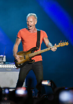 Sting.