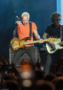 Sting.